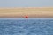 Scarlet ibis from Lencois Maranhenses National Park, Brazil