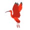 Scarlet ibis vector illustration style Flat