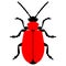 Scarlet lily beetle, red lily beetle, pest. Vector illustration.