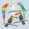 Scarlet macaw, blue macaw, white cockatoo and two toco toucans vector illustration