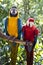 Scarlet-Macaw and Blue-and-yellow-Macaw