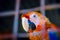 Scarlet macaw making eye contact from inside his cage in captivity close up portrait curious look