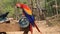 Scarlet macaw, national bird of Honduras