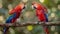 Scarlet macaws facing each other on branch with blurred background, copy space for text