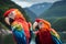 Scarlet macaws in the forest
