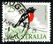 Scarlet Robin Australian Postage Stamp