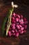 Scarlet running beans - pod, flower and beans on wood