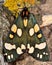 Scarlet tiger moth (Callimorpha dominula)