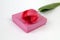 A scarlet tulip lies on a pink gift box on a light background, side view