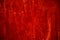 Scarlet velvet curtain background