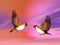 Scarlett finch birds couple - 3D render