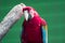 Scarlett Macaw bird parrot. Red and blue macaw