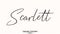 Scarlett Woman\\\'s Name. Typescript Handwritten Lettering Calligraphy Text on
