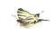 Scarse swallowtail (Iphiclides podalirius) isolated on white