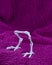 Scary bird legs with no body isolated on fluffy purple background. Concept for Halloween fun