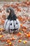 Scary black and white Halloween pumpkin on rustic wood