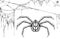 Scary black and white spider and torn web. Halloween symbols and accessories