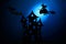 Scary castle silhouette,black paper bats and witch on broom flying on dark blue background.