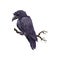 Scary crow on branch icon, Halloween bird