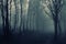 Scary dark forest with fog on halloween