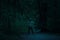 Scary dark male figure in a hoodie standing on the path in the forest with mysterious light coming behind him