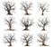 Scary dead withered tree watercolor illustration set, vector illustration