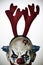 Scary evil clown with reindeer antlers headband