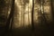 Scary forest on Halloween evening with mysterious fog