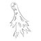 A scary ghost flies. Simple linear illustration in doodle style. Sketch of a mystical poltergeist creature. Clipart for