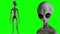 Scary gray alien stands and looks blinking on a green screen. UFO futuristic concept. 3D rendering.