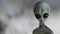 Scary gray alien walks and looks blinking on a dark smoky background. UFO futuristic concept. 3D rendering