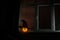 Scary Halloween pumpkin in the mystical house window at night or halloween pumpkin in night on room with blue window. Symbol of