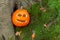 Scary halloween pumpkin in the woods