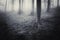 Scary horror forest with fog and mist