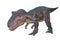 A Scary isolated dino dinosaurs T rex