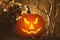 Scary jack o`lantern pumpkin on wooden bench in darkness. Halloween decor