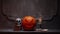 Scary laughing pumpkin and old skull on ancient gothic fireplace. Halloween, witchcraft and magic.