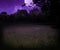 Scary Meadow at Night Halloween Violet Background