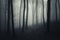 Scary mysterious forest with fog