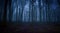 scary night forest with mist,horror concept