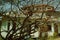 Scary old looking farm house with a tree on top of a hill