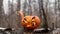 Scary pumpkin with tongues of flame in a dense forest. Jack o lantern for halloween