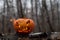 Scary pumpkin with tongues of flame in a dense forest. Jack o lantern for halloween