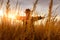 Scary scarecrow in a wheat field at sunset