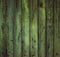Scary scratched dark wooden background texture. Old mystic green