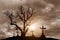 Scary silhouette dead tree and spooky crosses with Halloween concept