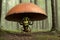 Scary small evil goblin-insect infected by parasite mushroom in the forest, AI generated