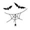 Scary spiderweb. Black cobweb, bat, hanging spider, isolated white background. Halloween horror decoration. Spooky fear