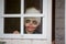 Scary toddler child in halloween costume, playing with carved pumpkins