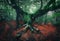 Scary tree. Mystical dark foggy forest